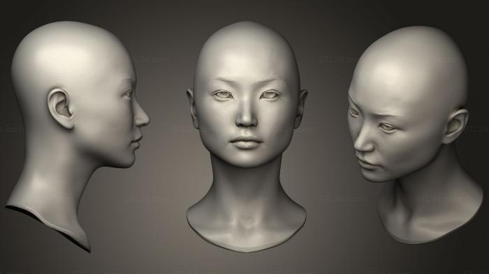 Anatomy of skeletons and skulls (Female Head 8 01, ANTM_0504) 3D models for cnc